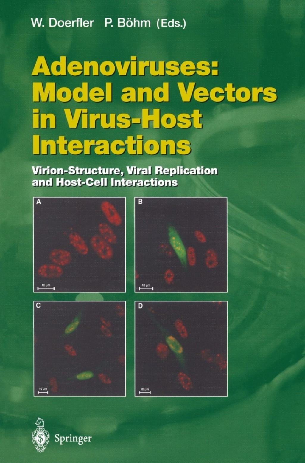 Adenoviruses: Model and Vectors in Virus-Host Interactions Virion-Structure, Viral Replication and Host-Cell Interactions 1st Edition