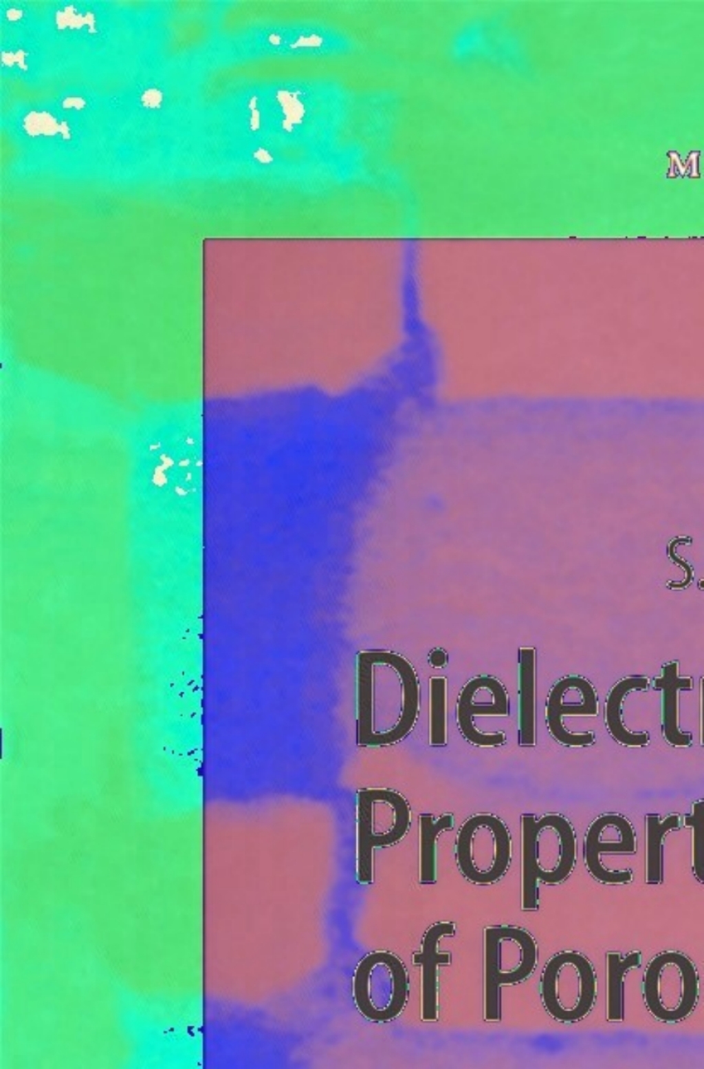 Dielectric Properties of Porous Media 