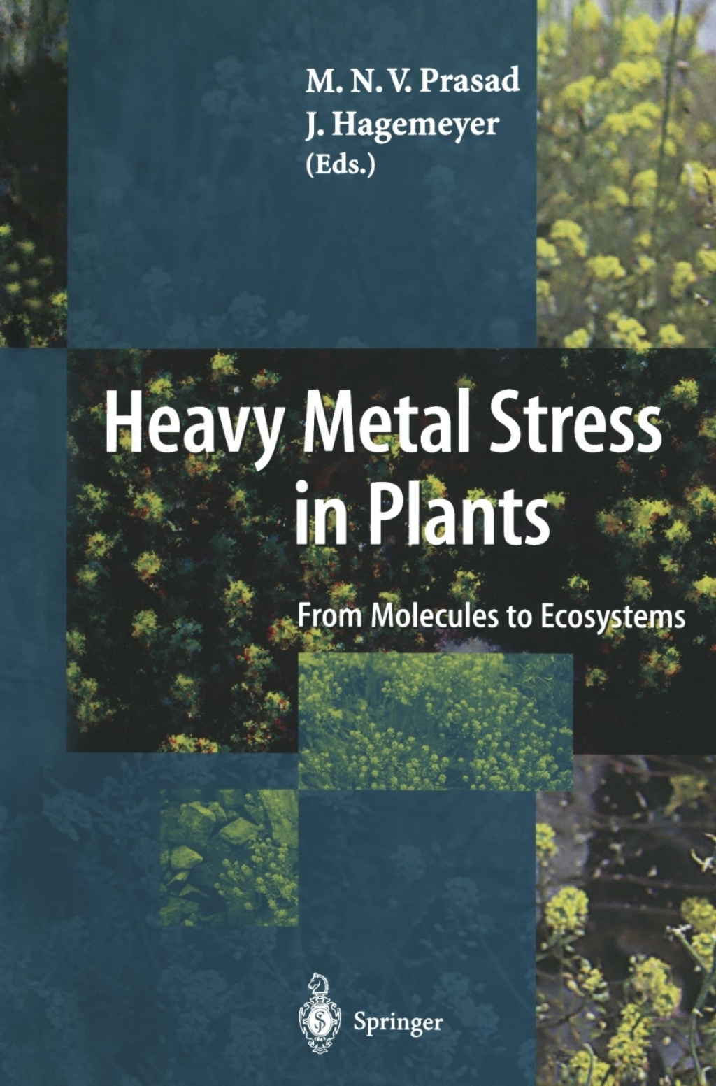 Heavy Metal Stress in Plants From Molecules to Ecosystems 1st Edition