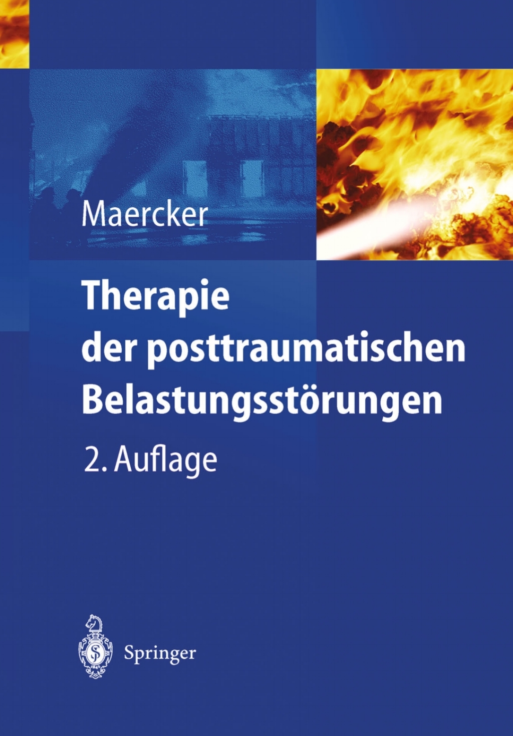 Therapie der posttraumatischen BelastungsstÃƒÂ¶rungen 2nd Edition