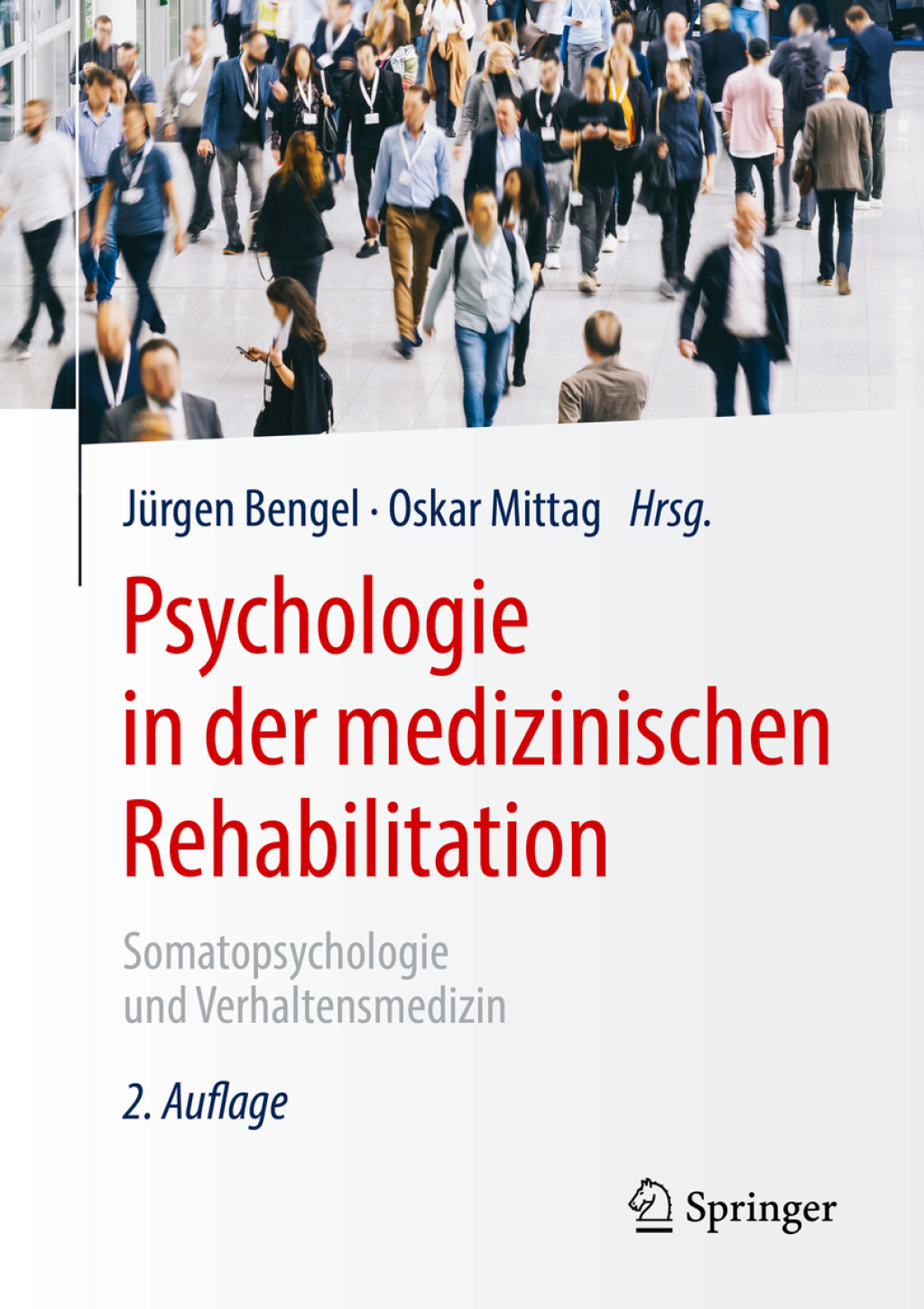 Psychologie in der medizinischen Rehabilitation Somatopsychologie und Verhaltensmedizin 2nd Edition
