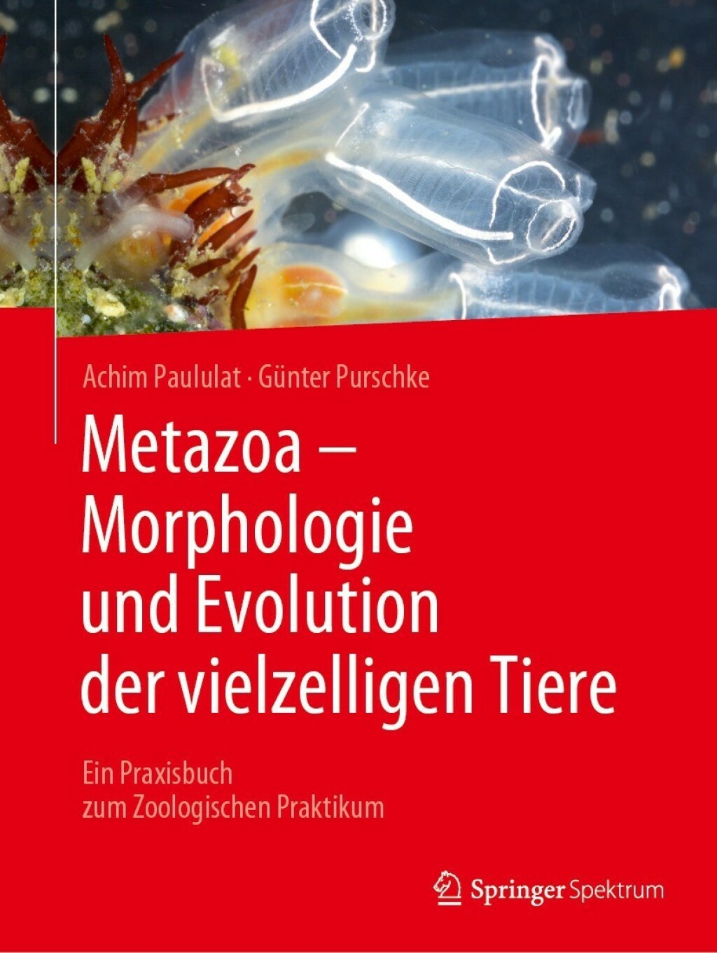 Metazoa - Morphologie und Evolution der vielzelligen Tiere Ein Praxisbuch zum Zoologischen Praktikum 