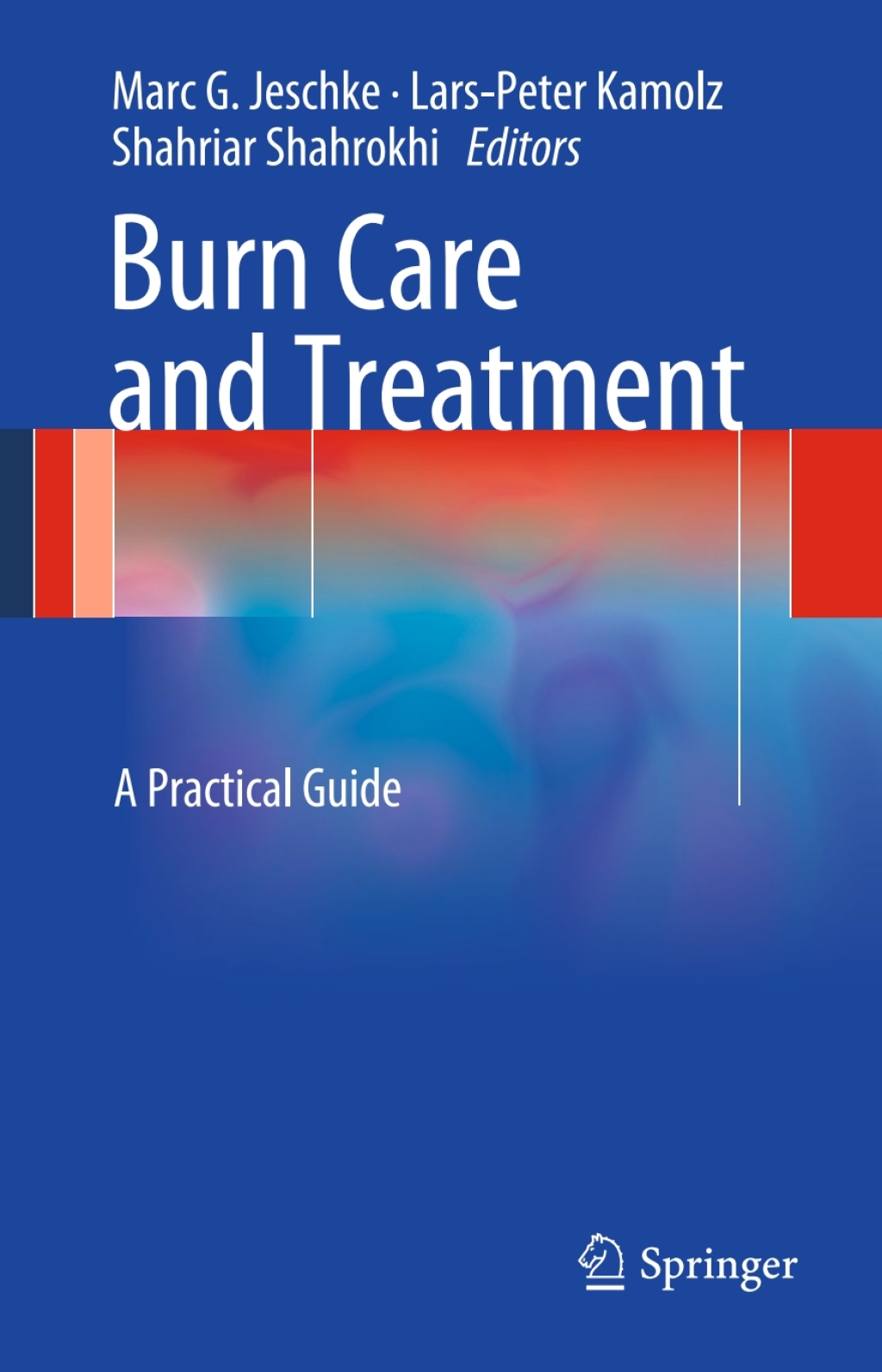 Burn Care and Treatment A Practical Guide 