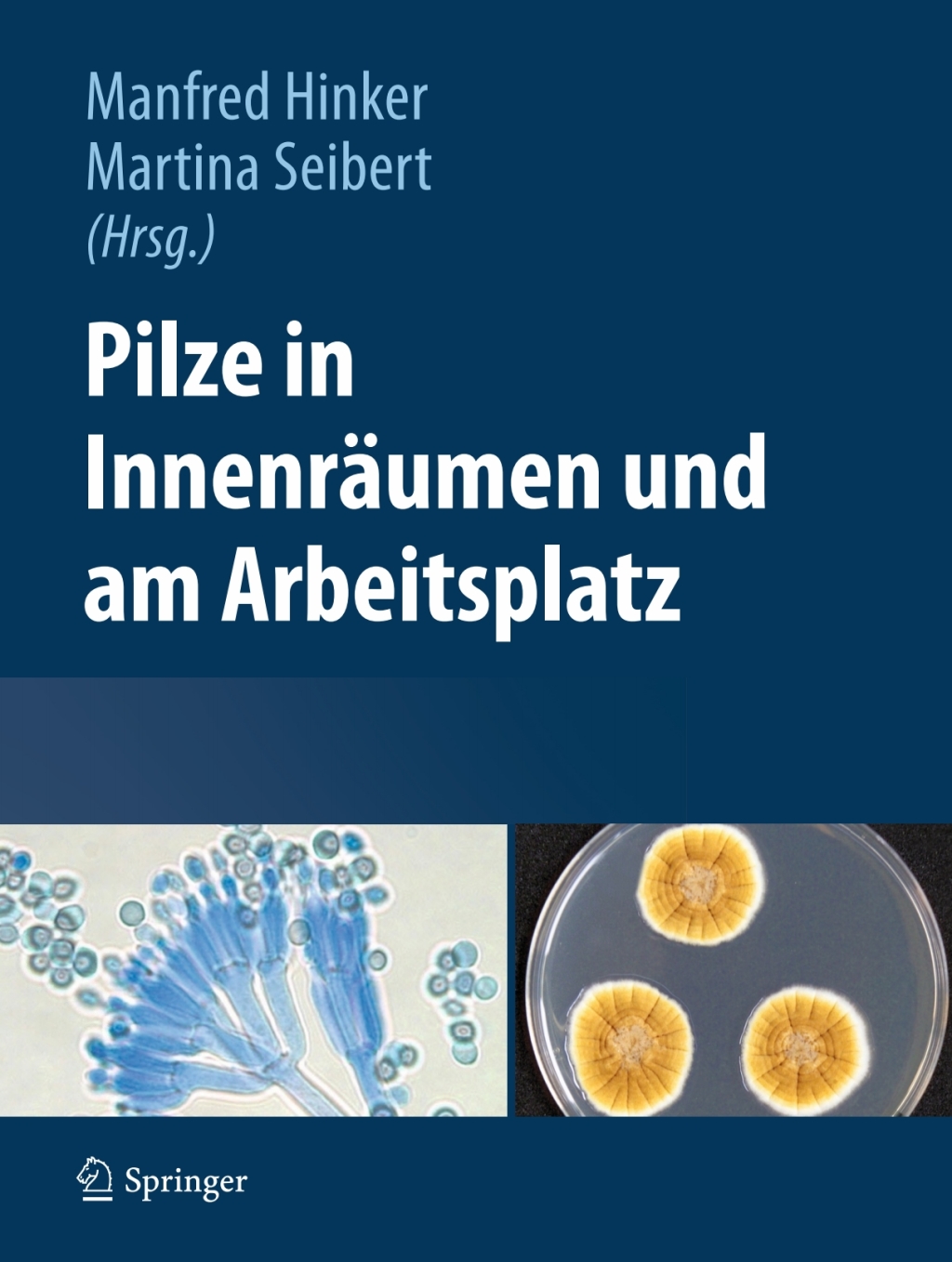Pilze in InnenrÃƒÂ¤umen und am Arbeitsplatz 