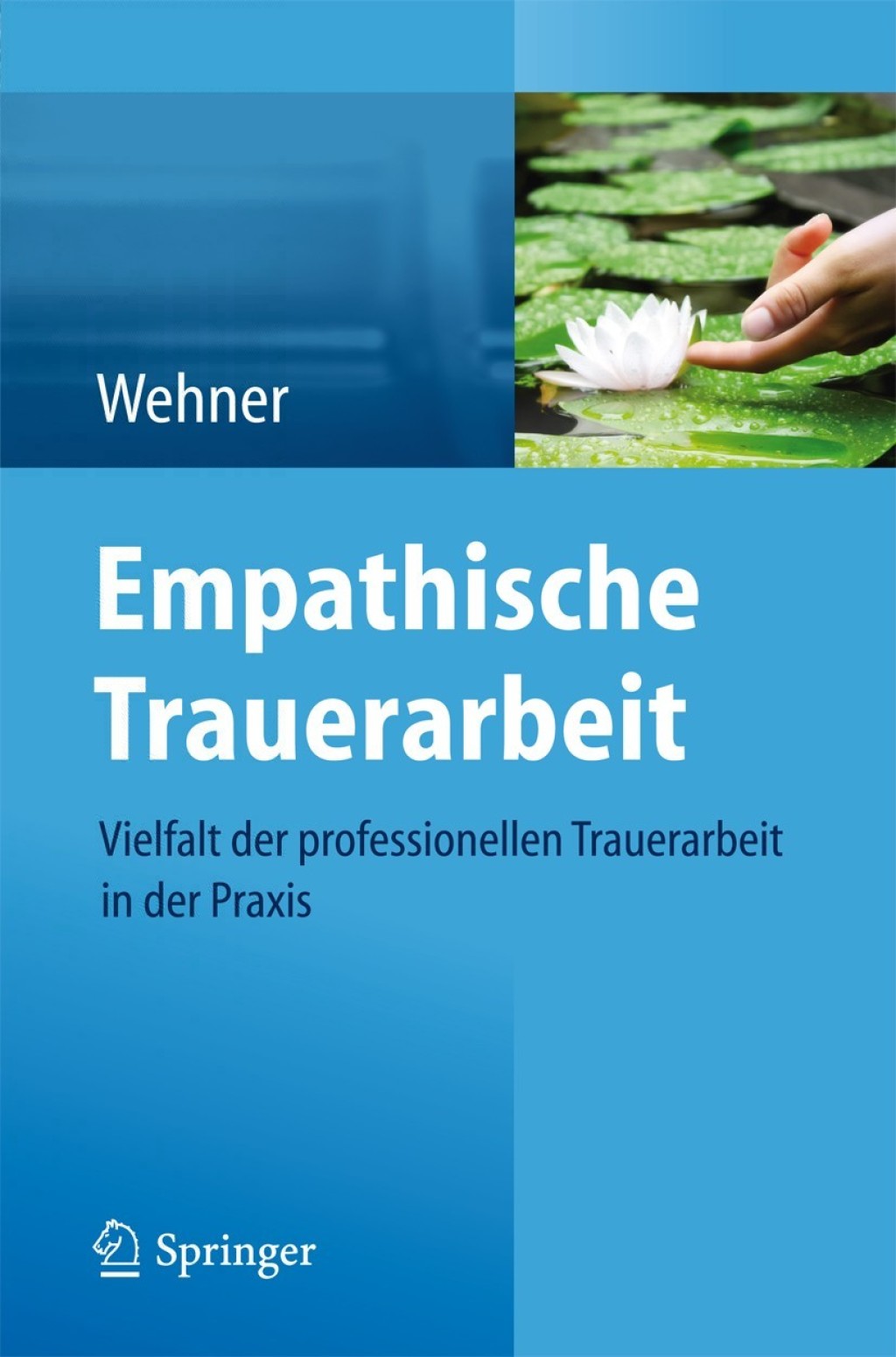 Empathische Trauerarbeit Vielfalt der professionellen Trauerarbeit in der Praxis 