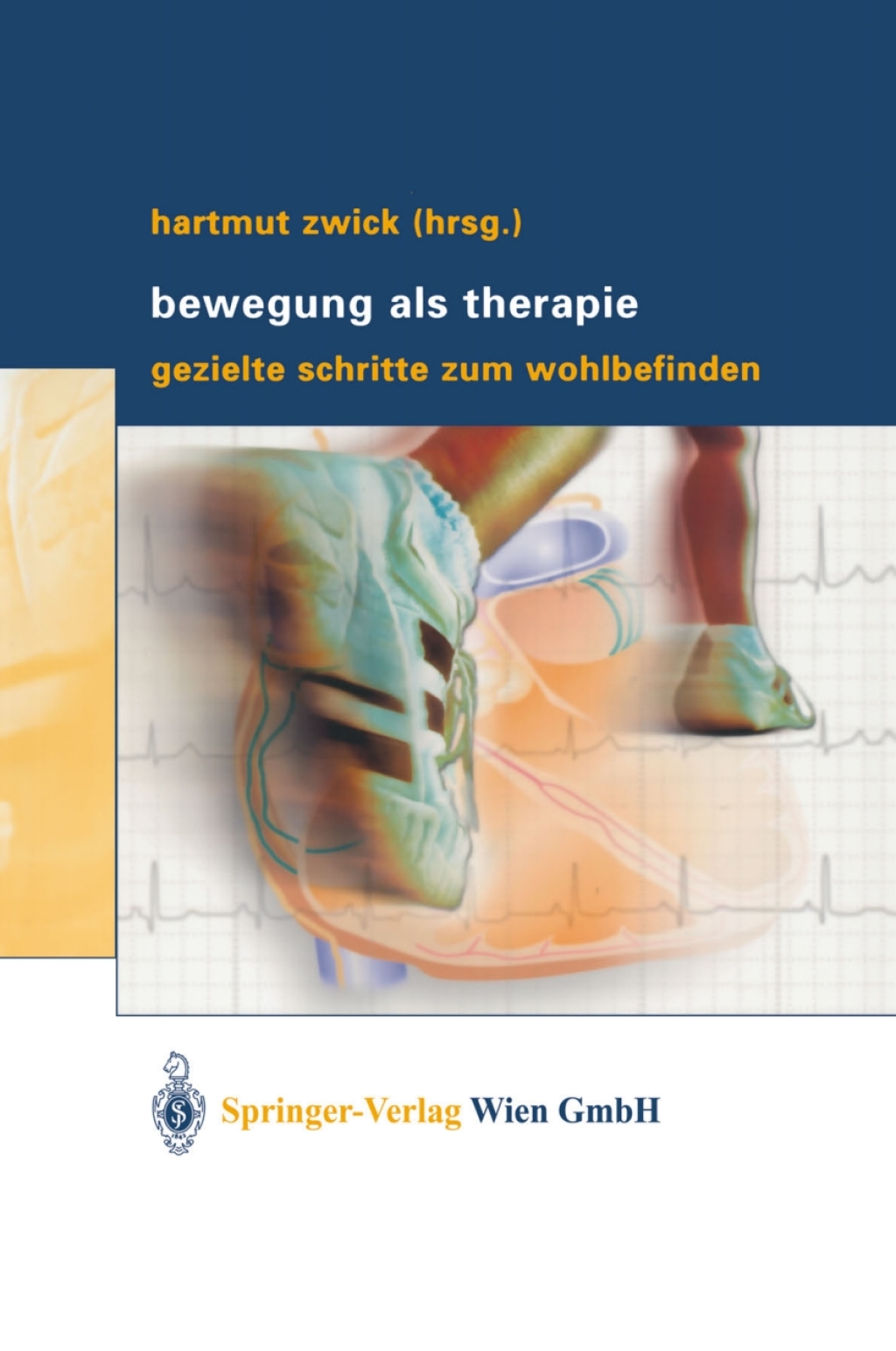 Bewegung als Therapie Gezielte Schritte zum Wohlbefinden 1st Edition