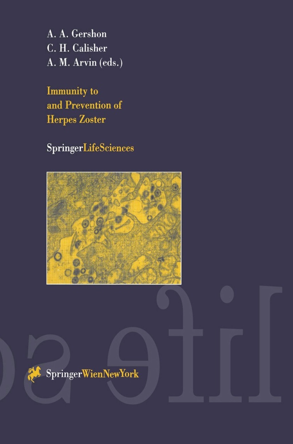 Immunity to and Prevention of Herpes Zoster 1st Edition