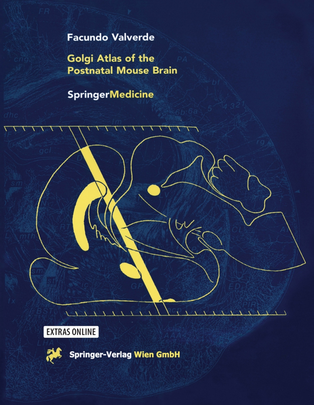 Golgi Atlas of the Postnatal Mouse Brain 