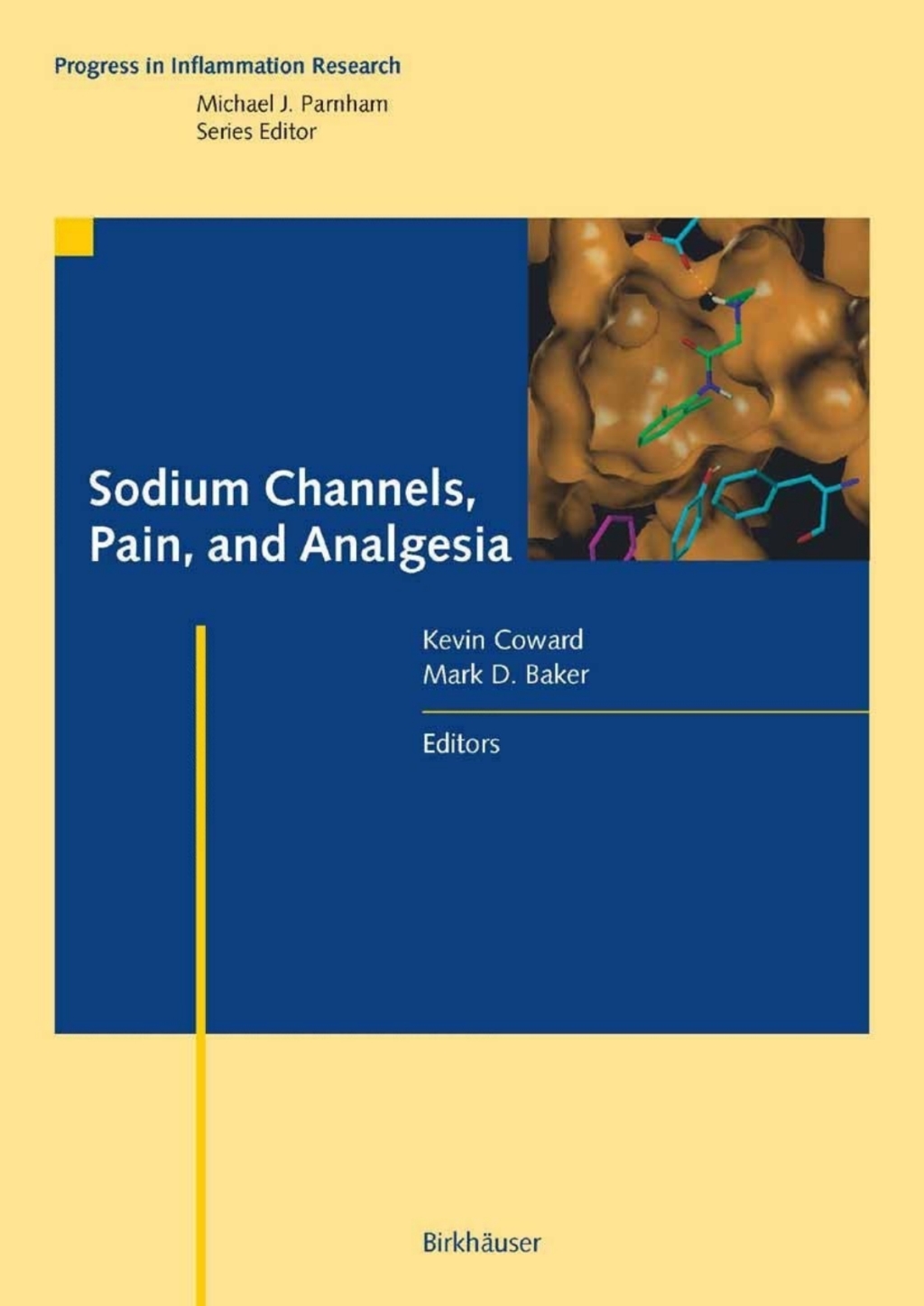 Sodium Channels, Pain, and Analgesia 1st Edition