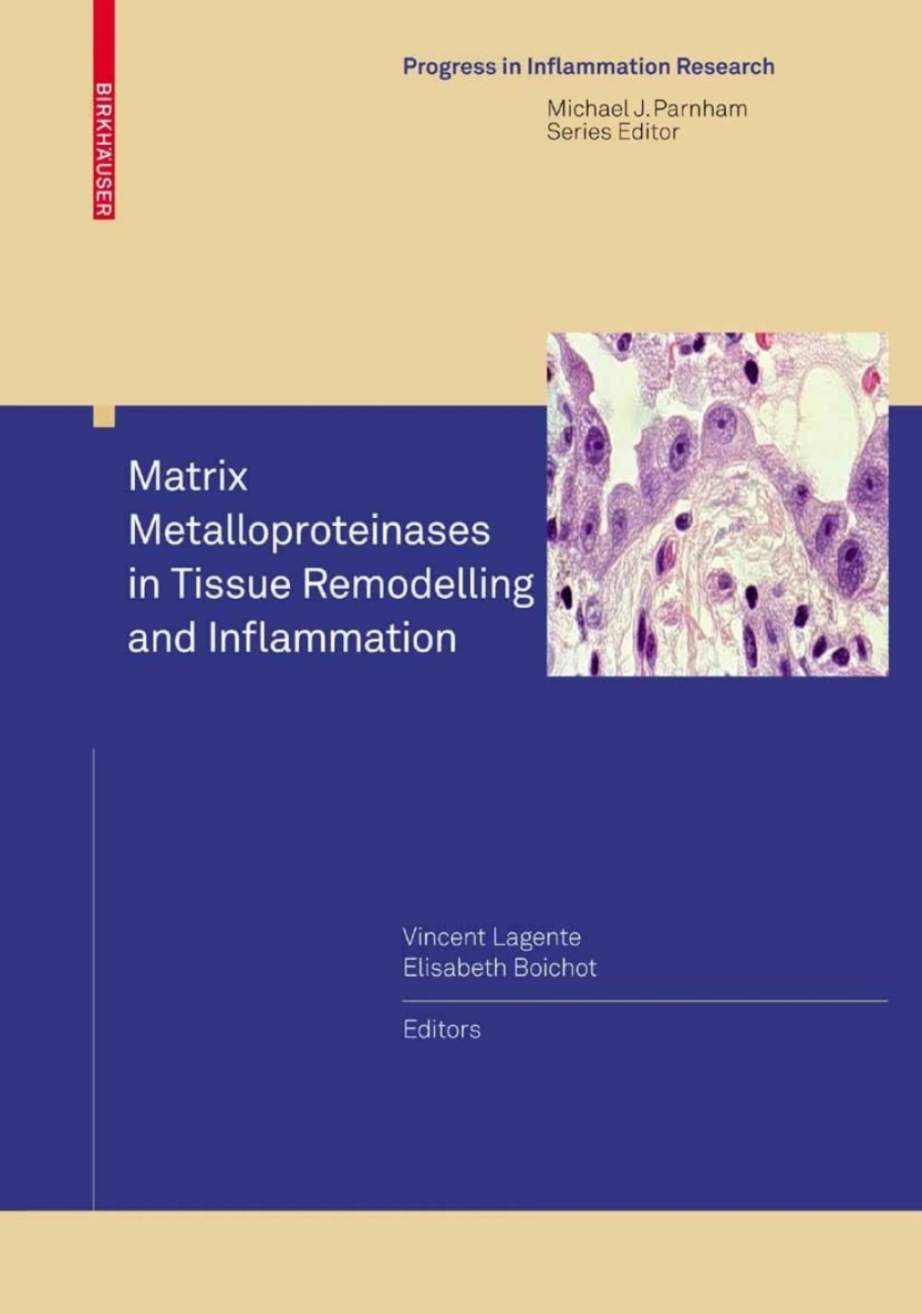 Matrix Metalloproteinases in Tissue Remodelling and Inflammation 1st Edition
