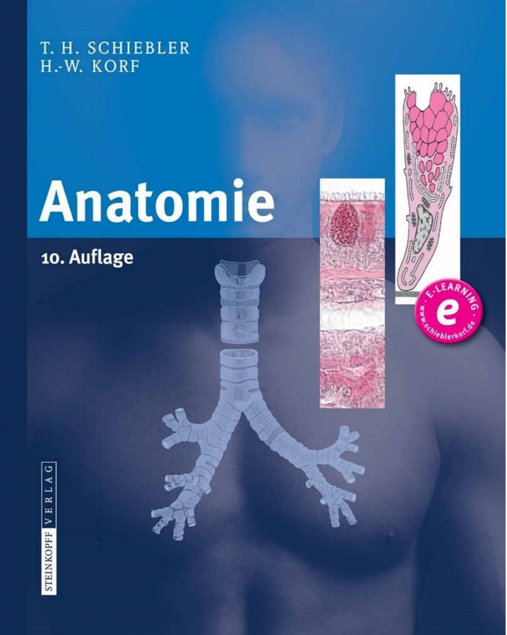 Anatomie Histologie, Entwicklungsgeschichte, makroskopische und mikroskopische Anatomie, Topographie 10th Edition