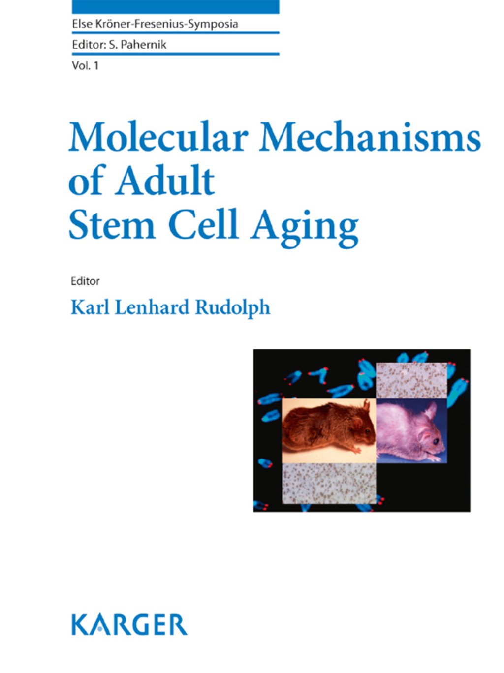 Molecular Mechanisms of Adult Stem Cell Aging 1st Edition
