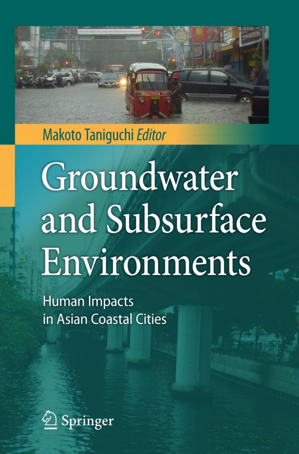 Groundwater and Subsurface Environments Human Impacts in Asian Coastal Cities 