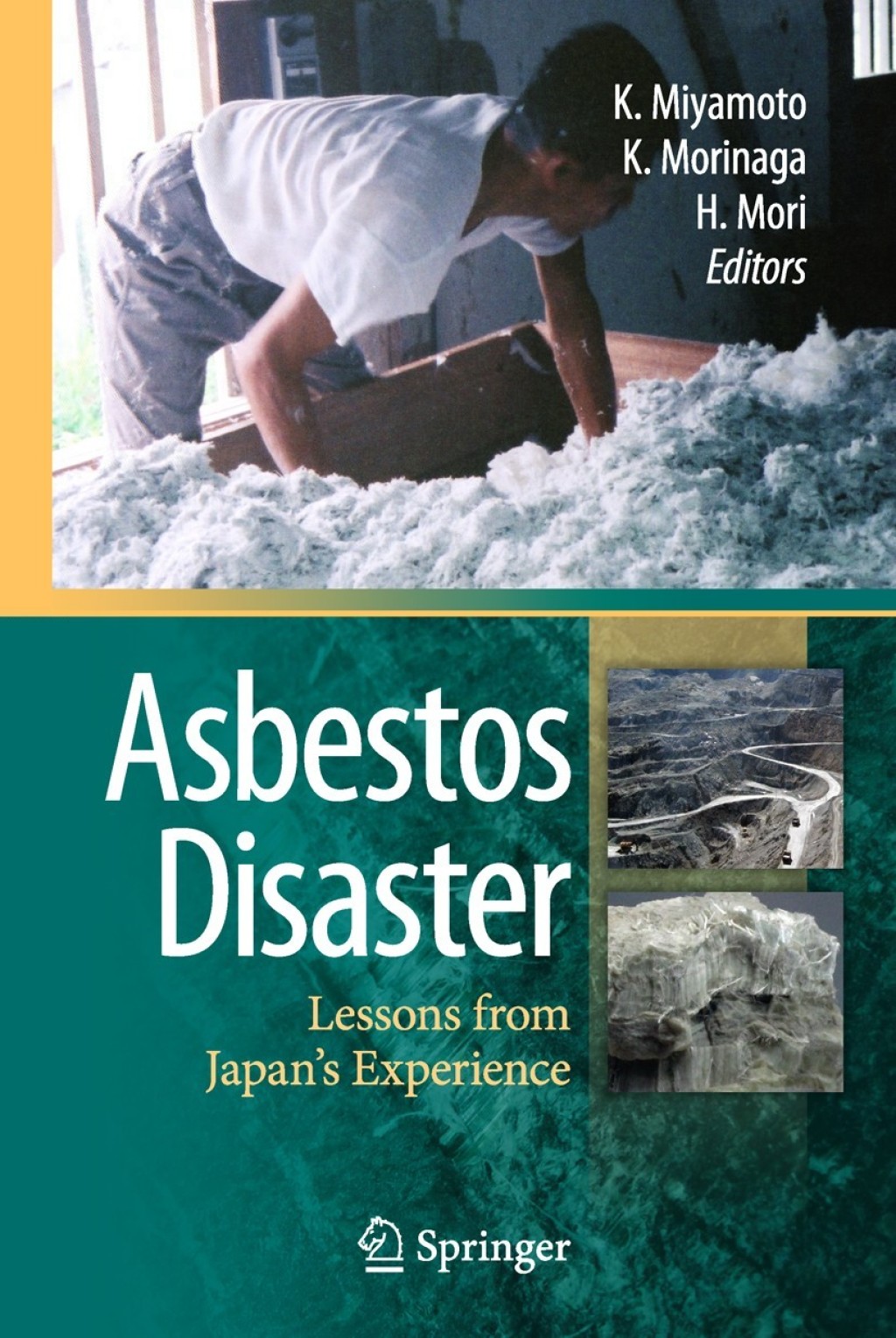 Asbestos Disaster Lessons from Japan's Experience 1st Edition