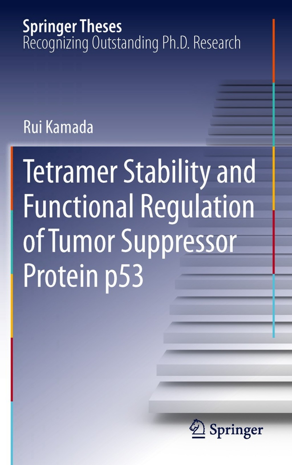 Tetramer Stability and Functional Regulation of Tumor Suppressor Protein p53 