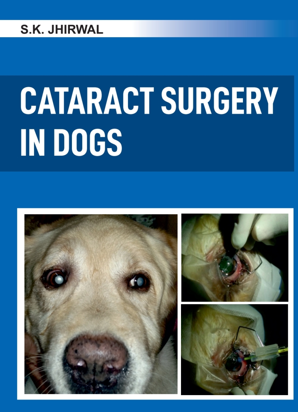 Cataract Surgery in Dogs 1st Edition