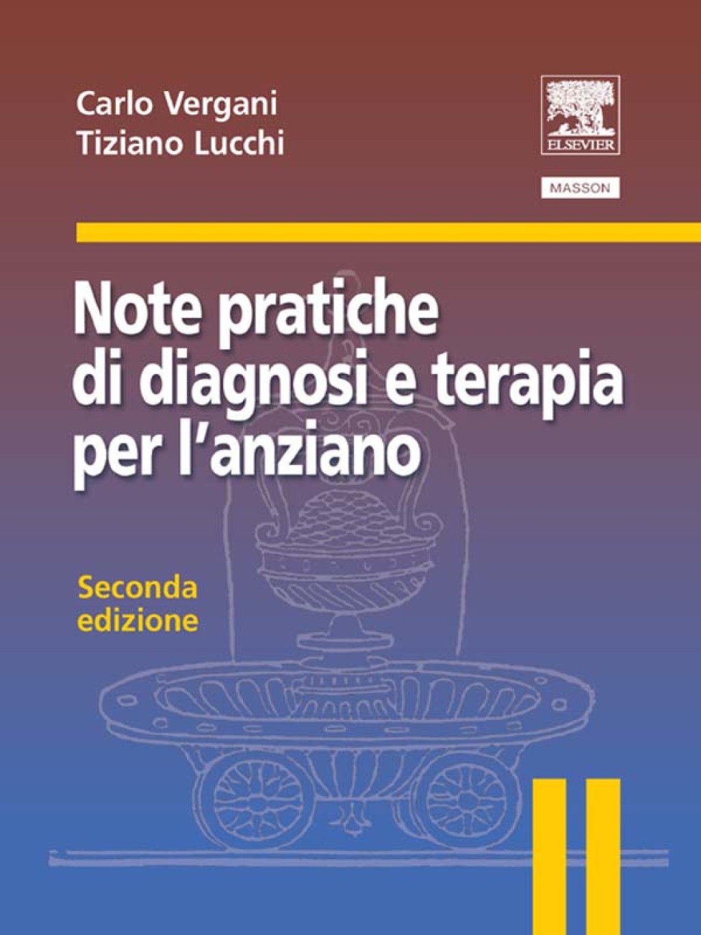 Note pratiche di diagnosi e terapia per l'anziano 2nd Edition