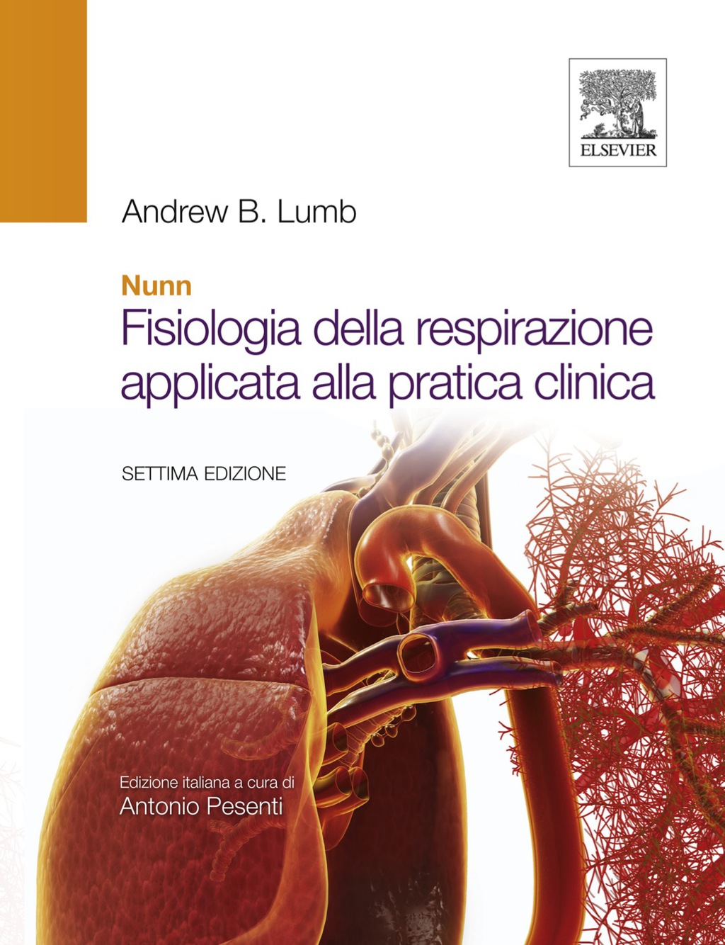 Nunn - Fisiologia della respirazione applicata alla pratica clinica 7th Edition