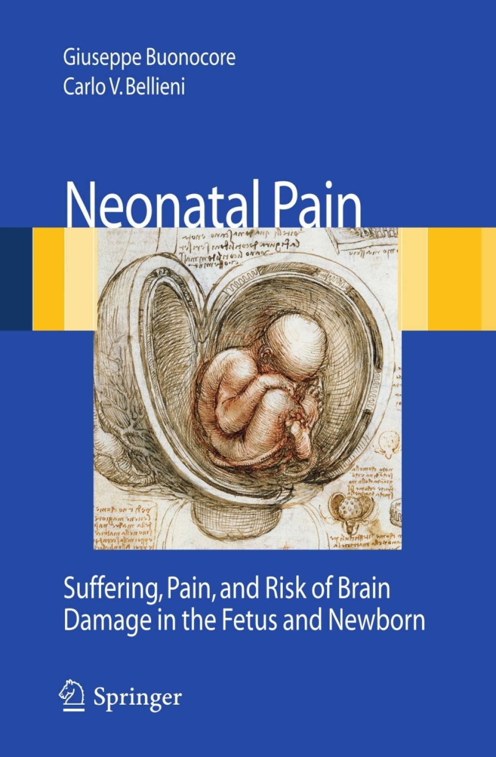 Neonatal Pain Suffering, Pain, and Risk of Brain Damage in the Fetus and Newborn 1st Edition