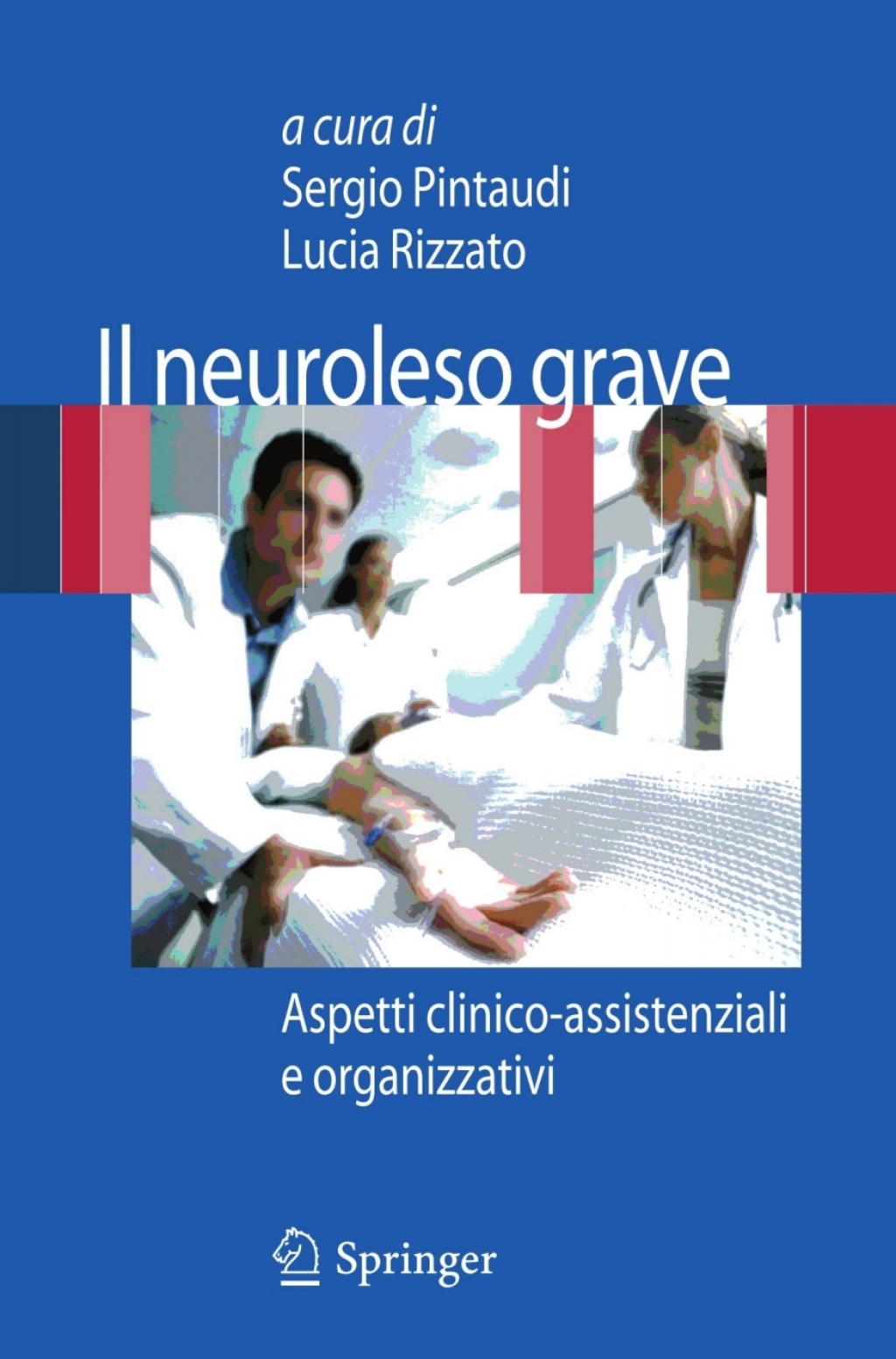 Il neuroleso grave Aspetti clinico-assistenziali e organizzativi 1st Edition
