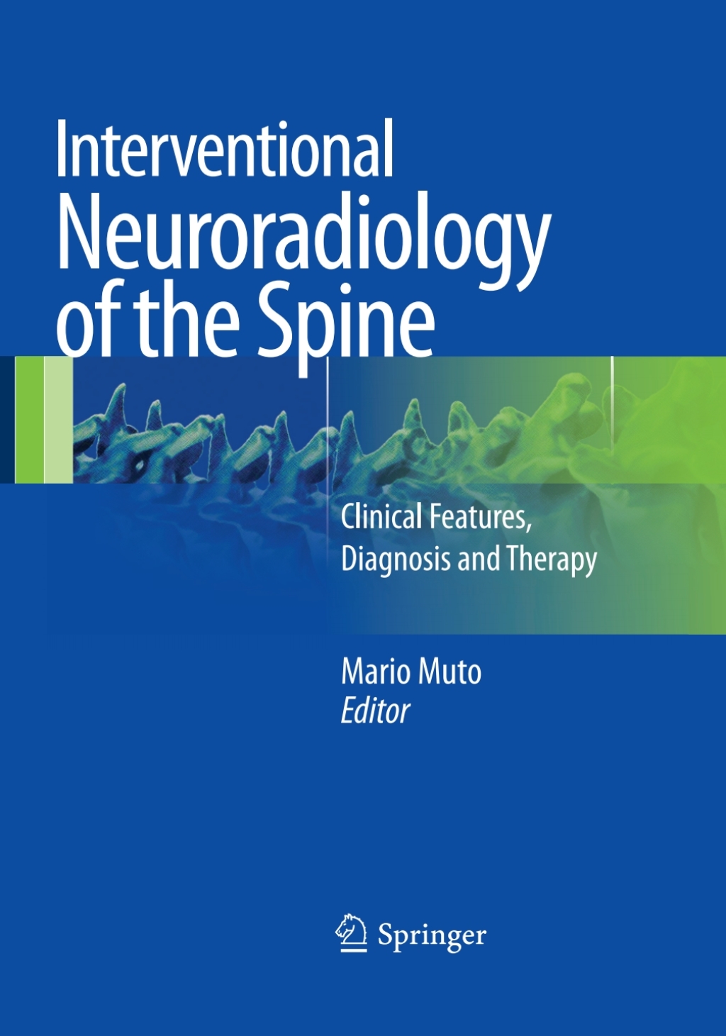 Interventional Neuroradiology of the Spine Clinical Features, Diagnosis and Therapy 
