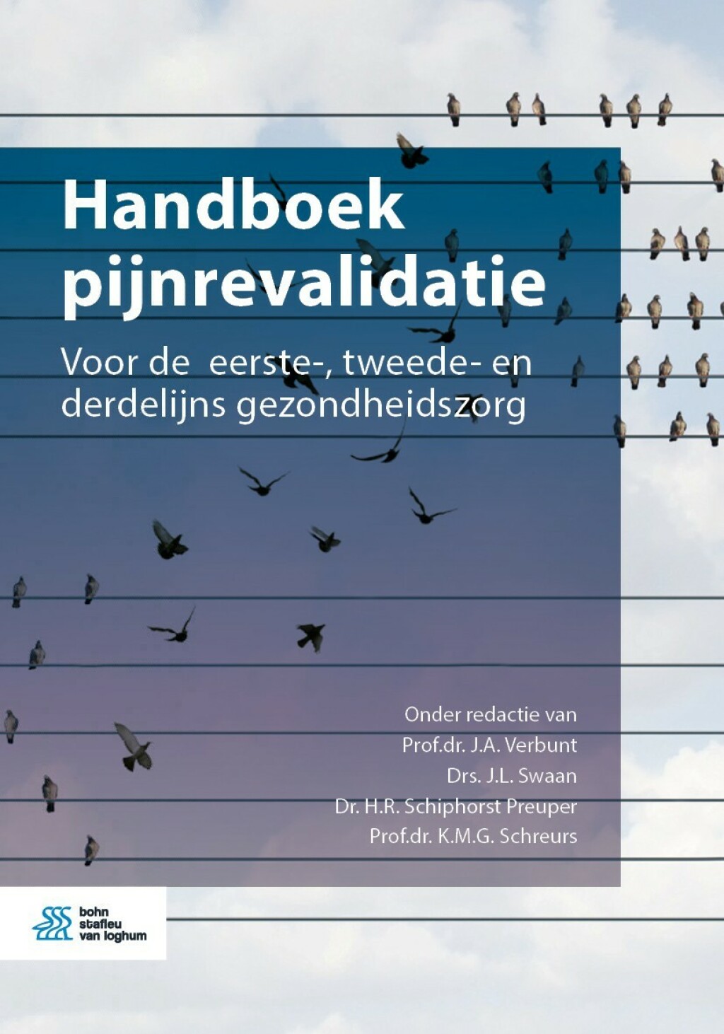Handboek pijnrevalidatie Voor de eerste-, tweede- en derdelijns gezondheidszorg 