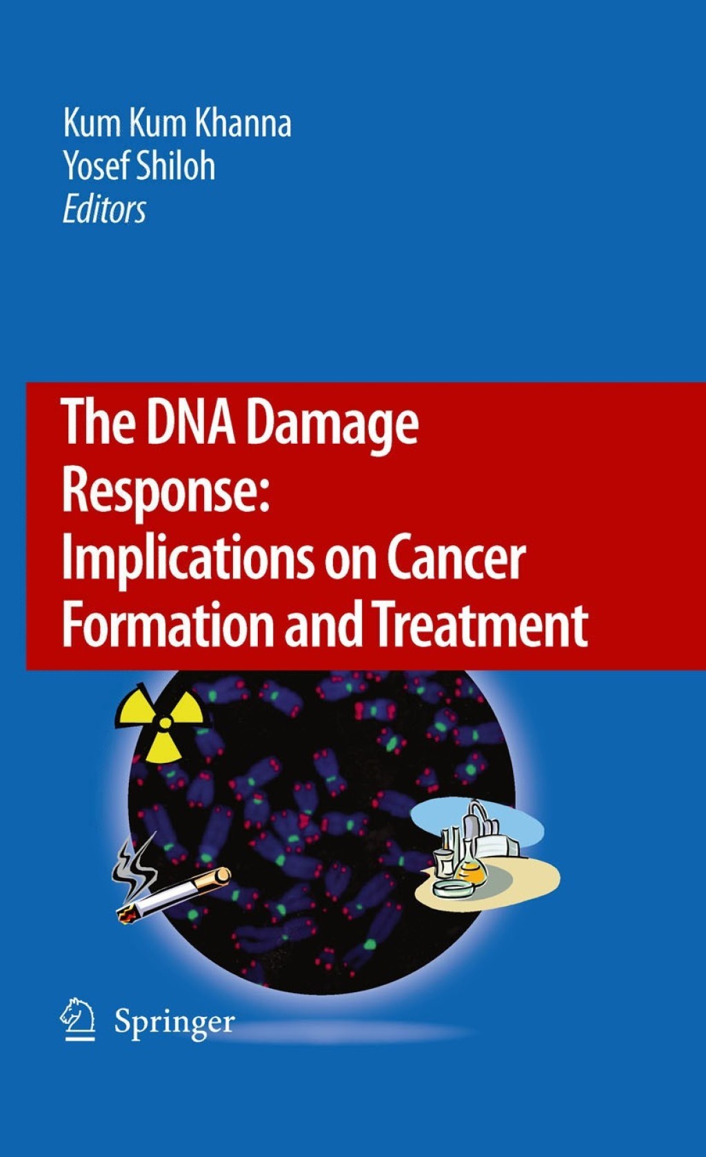 The DNA Damage Response: Implications on Cancer Formation and Treatment 1st Edition