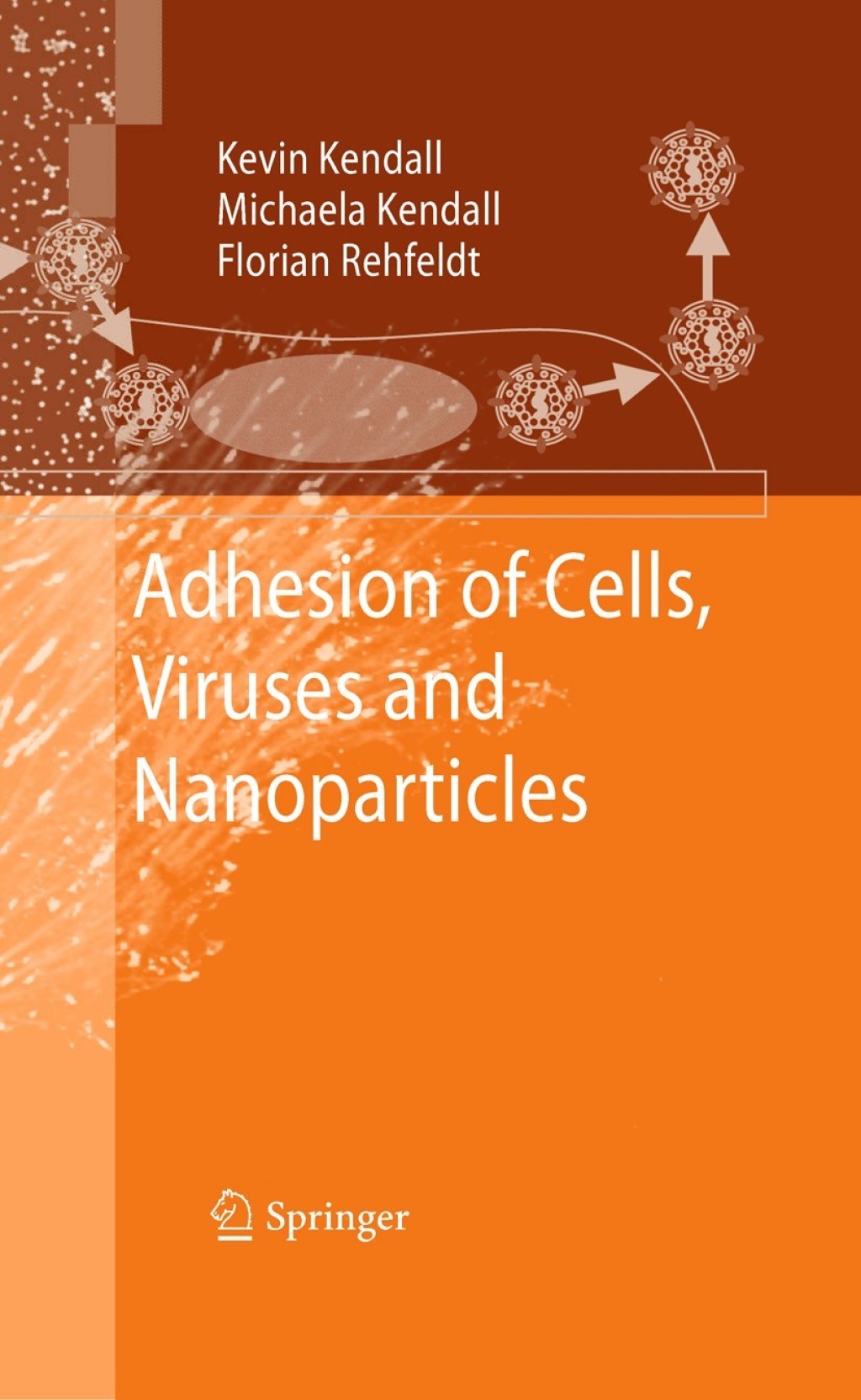 Adhesion of Cells, Viruses and Nanoparticles 
