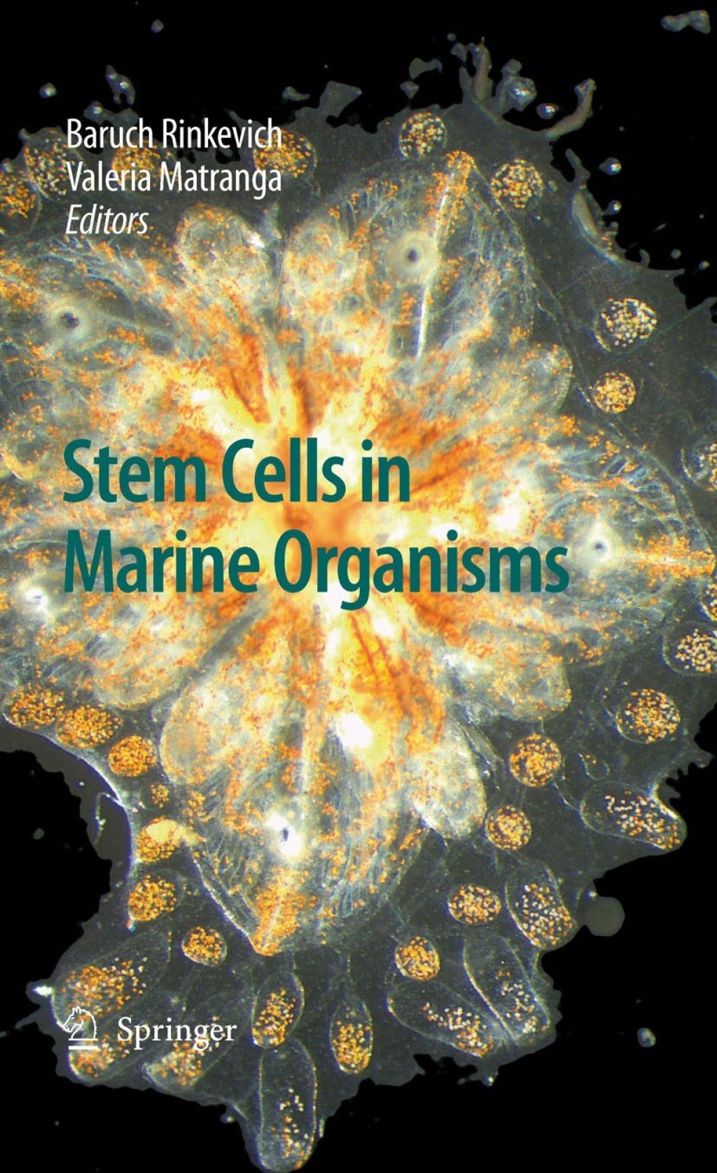 Stem Cells in Marine Organisms 1st Edition