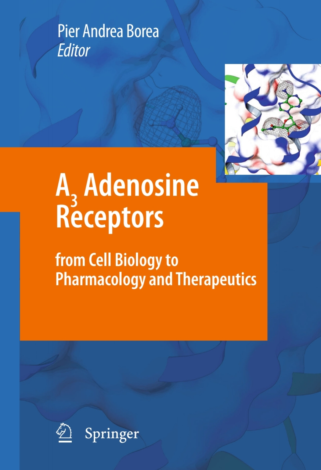 A3 Adenosine Receptors from Cell Biology to Pharmacology and Therapeutics 