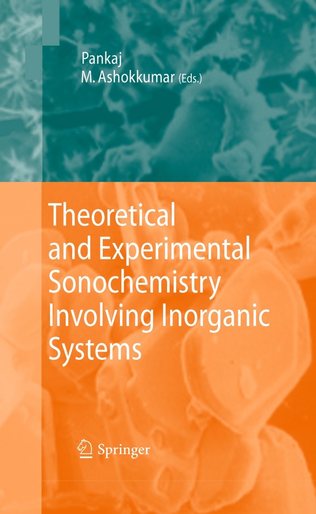 Theoretical and Experimental Sonochemistry Involving Inorganic Systems 1st Edition