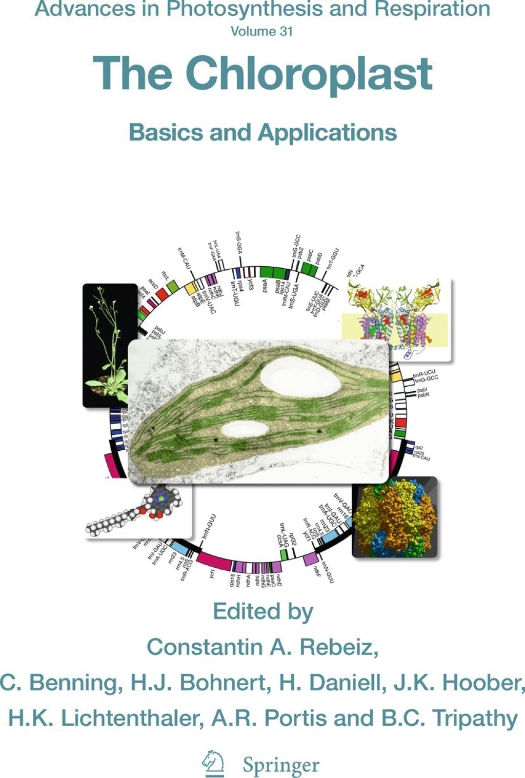 The Chloroplast Basics and Applications 1st Edition