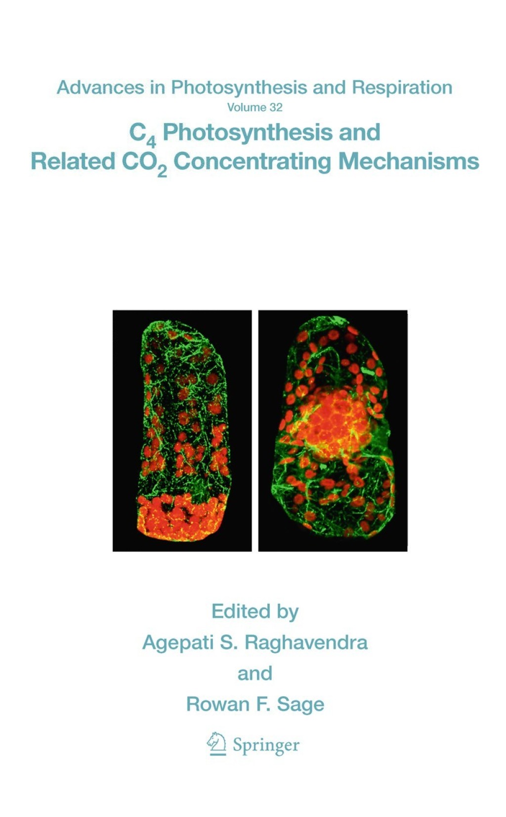C4 Photosynthesis and Related CO2 Concentrating Mechanisms 1st Edition
