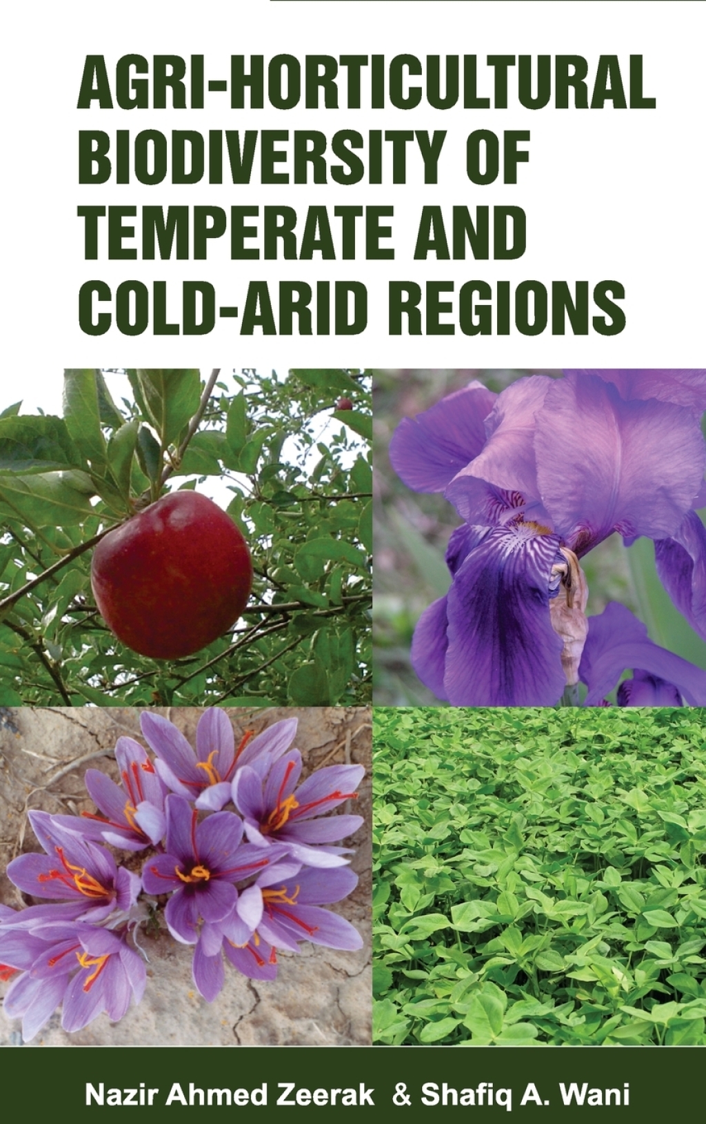 Agri-Horticultural Biodiverstiy of Temperate and Cold Arid Regions 