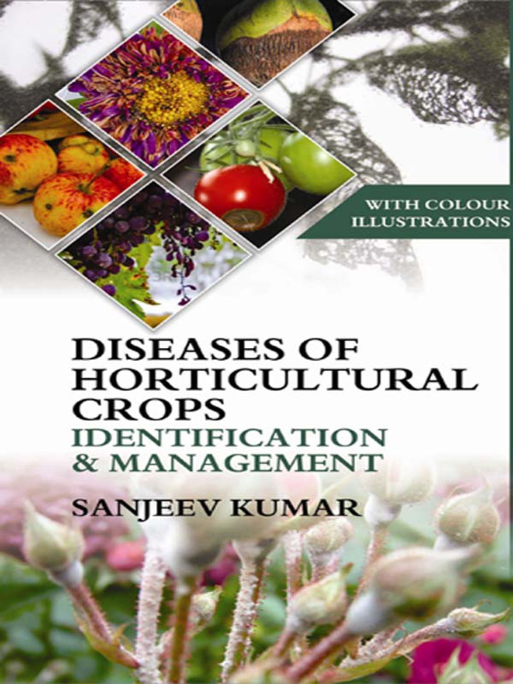 Diseases of Horticultural Crops Identification and Management 