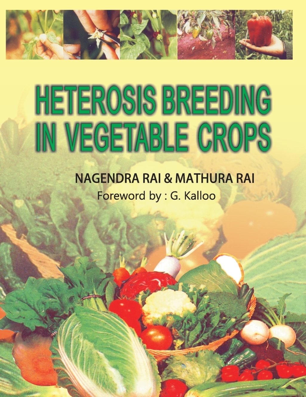 Heterosis Breeding in Vegetable Crops 