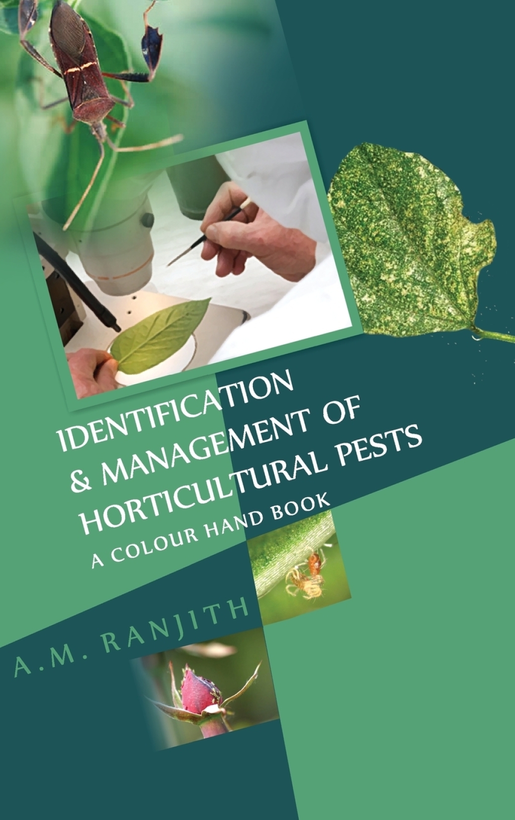 Identification and Management of Horticultural Pests 