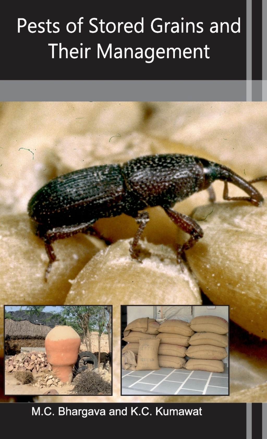 Pests of Stored Grains and Their Management 