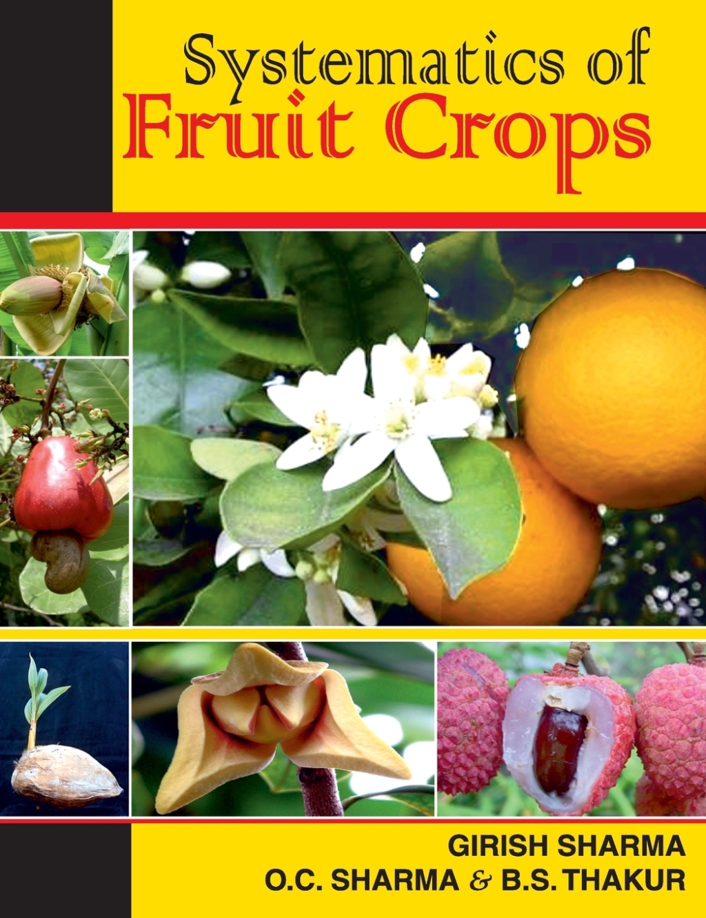 Systematics of Fruit Crops 