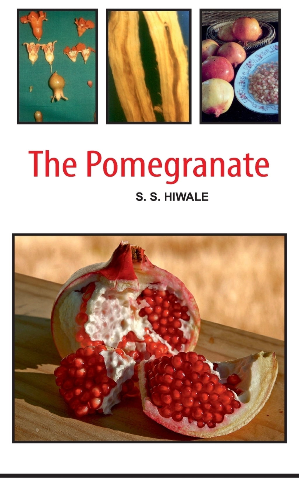 Pomegranate 