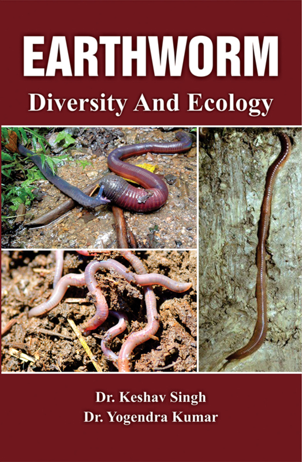 Earthworm Diversity and Ecology 1st Edition