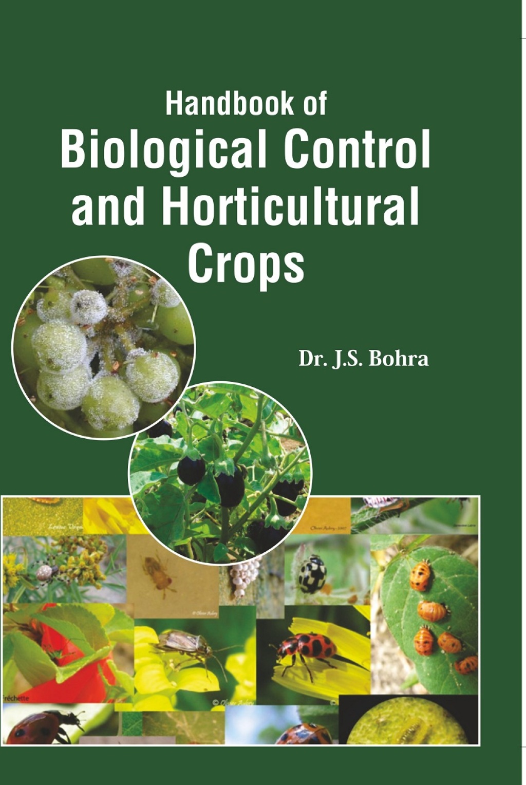 Handbook Of Biological Control And Horticultural Crops 