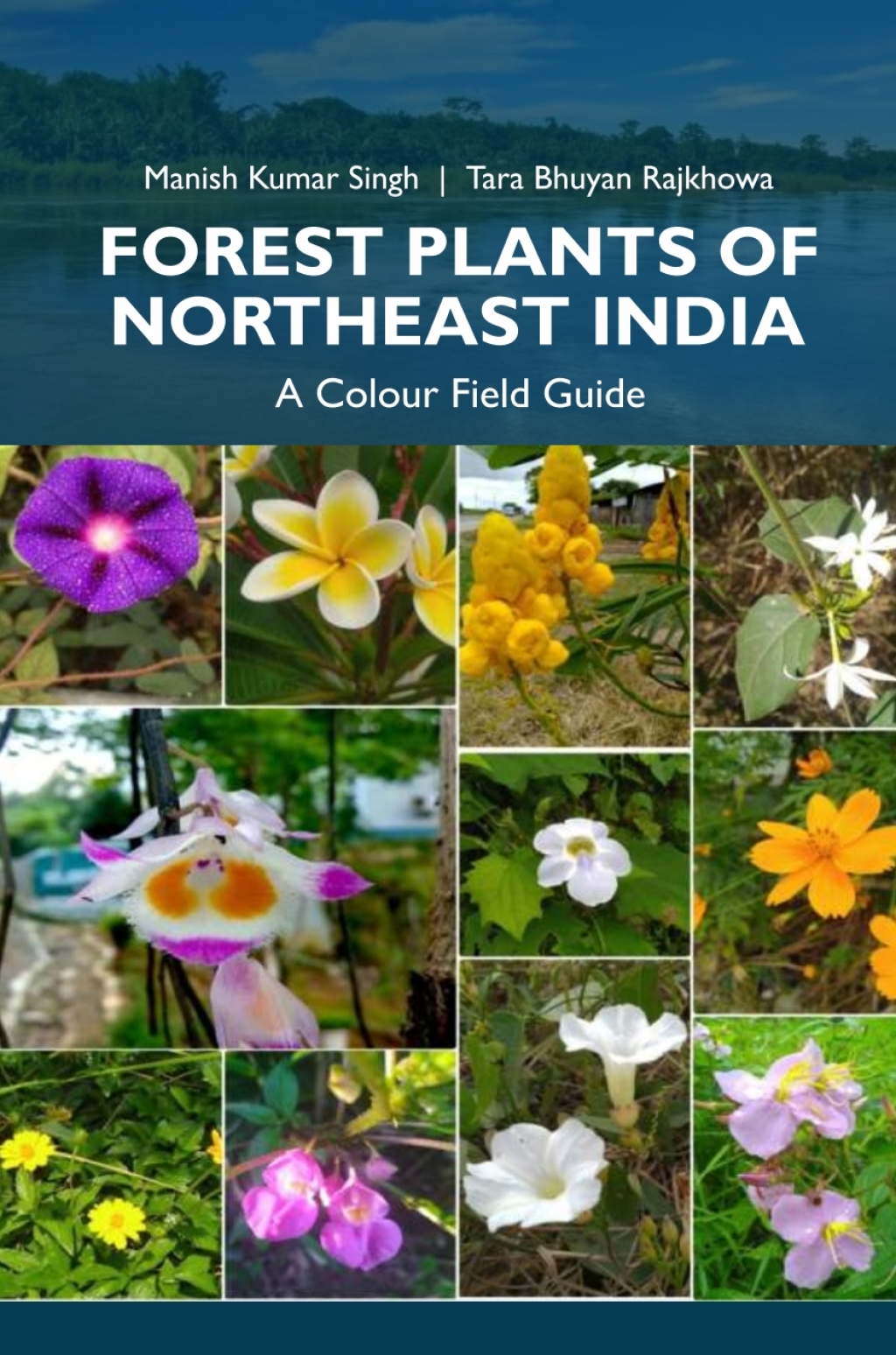 Forest Plants of Northeast India: A Colour Field Guide 1st Edition