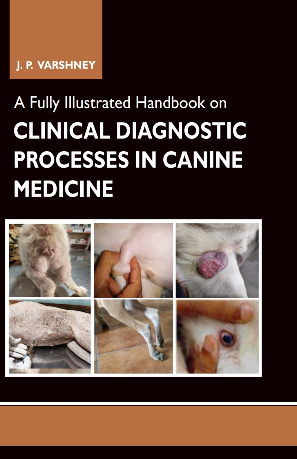 A Fully Illustrated Handbook on Clinical Diagnostic Processes in Canine Medicine 1st Edition
