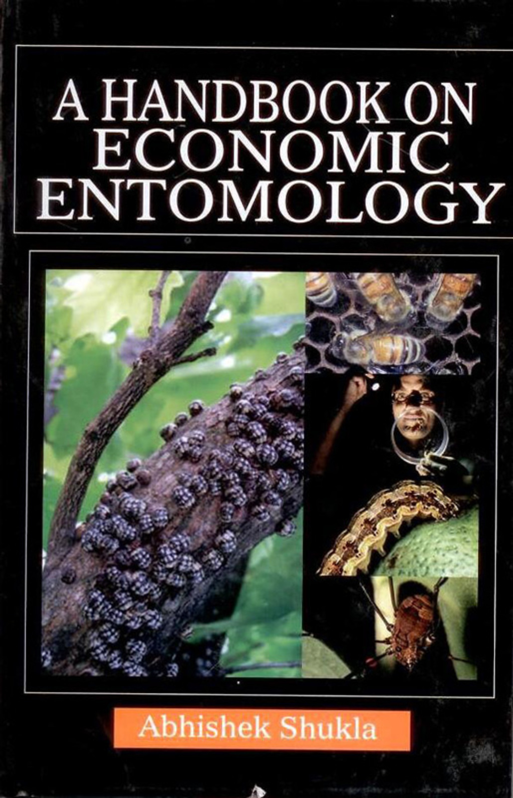 A Handbook on Economic Entomology 