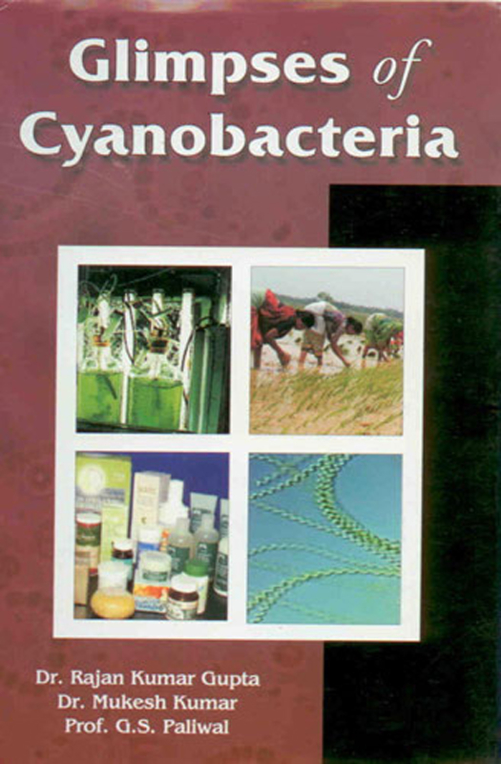 Glimpses of Cyanobacteria 