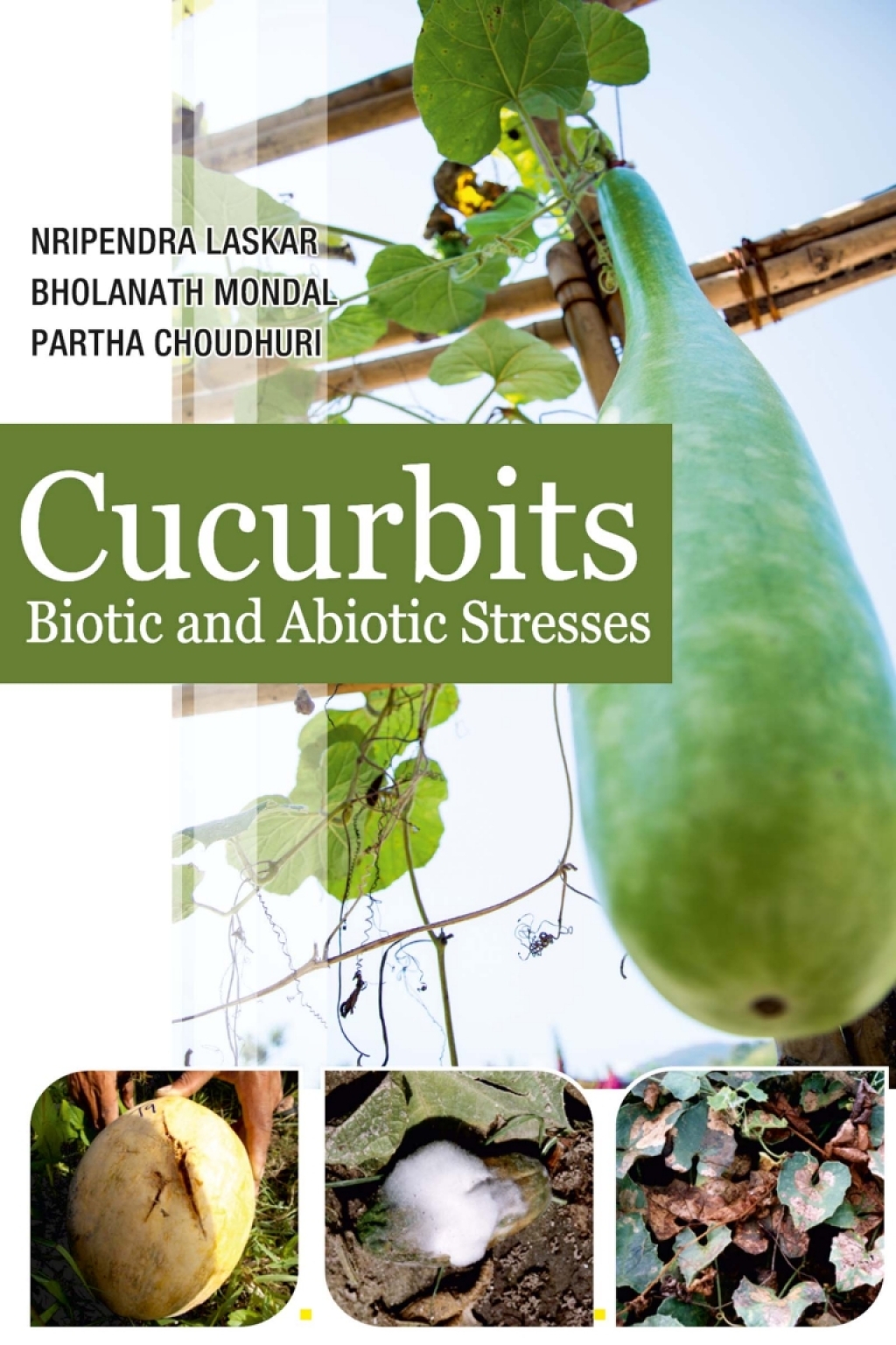 Cucurbits: Biotic and Abiotic Stresses 1st Edition