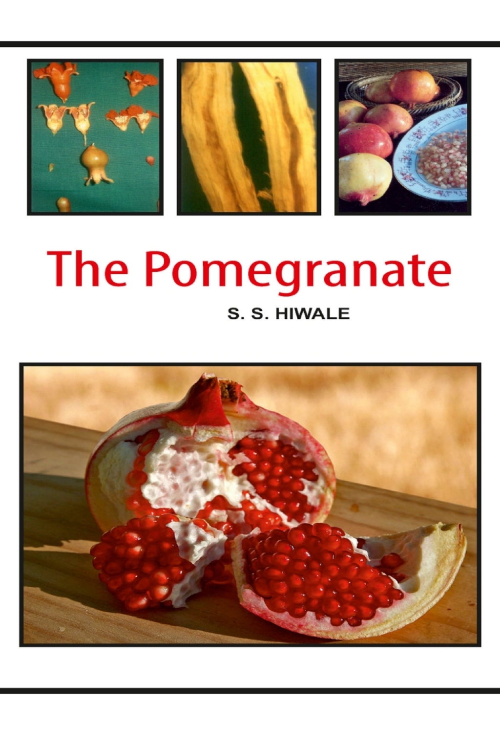 The Pomegranate 1st Edition