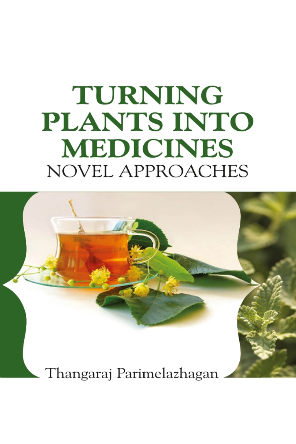 Turning Plants Into Medicines: Novel Approaches 1st Edition