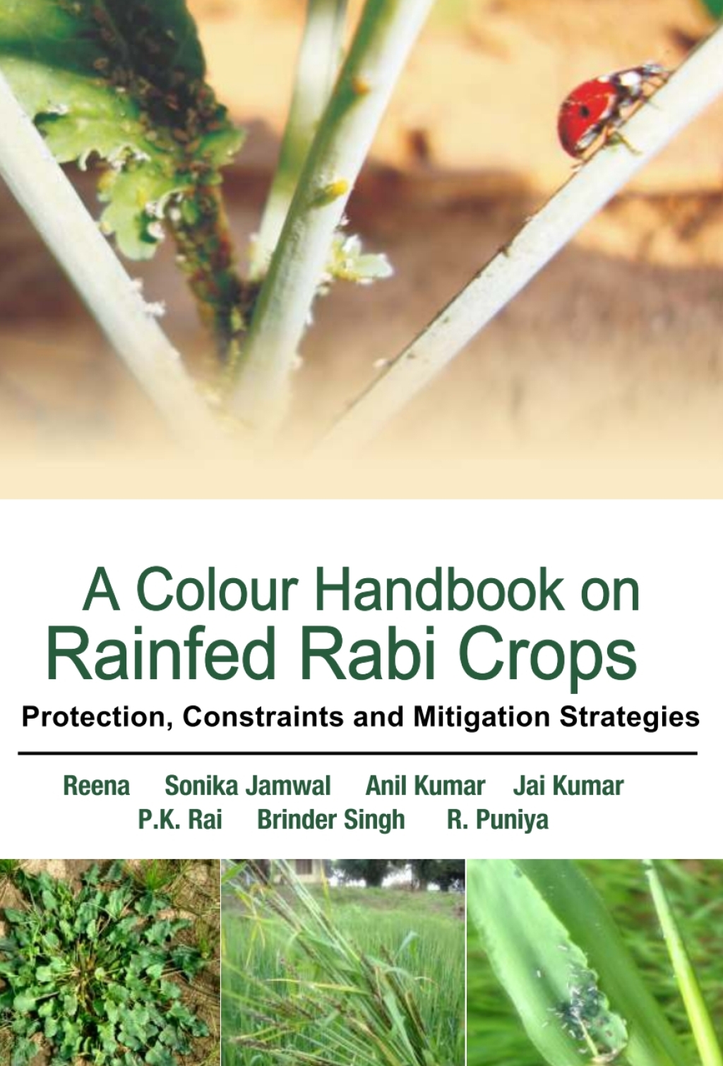 A Colour Handbook on Rainfed Rabi Crops: Protection,Constraints and Mitigation Strategies 1st Edition